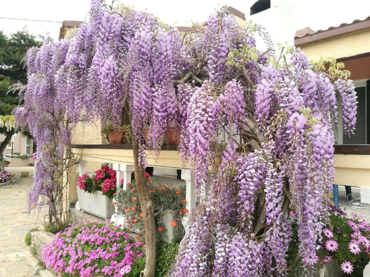 Casa Vacanze La Guzzetta Ranch Villa Canaglia Luaran gambar